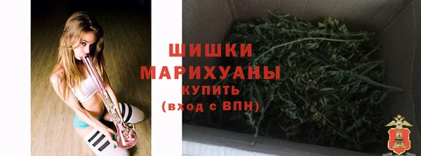 амф Верхний Тагил