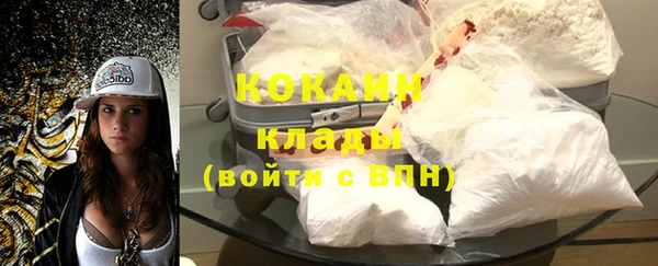 амф Верхний Тагил